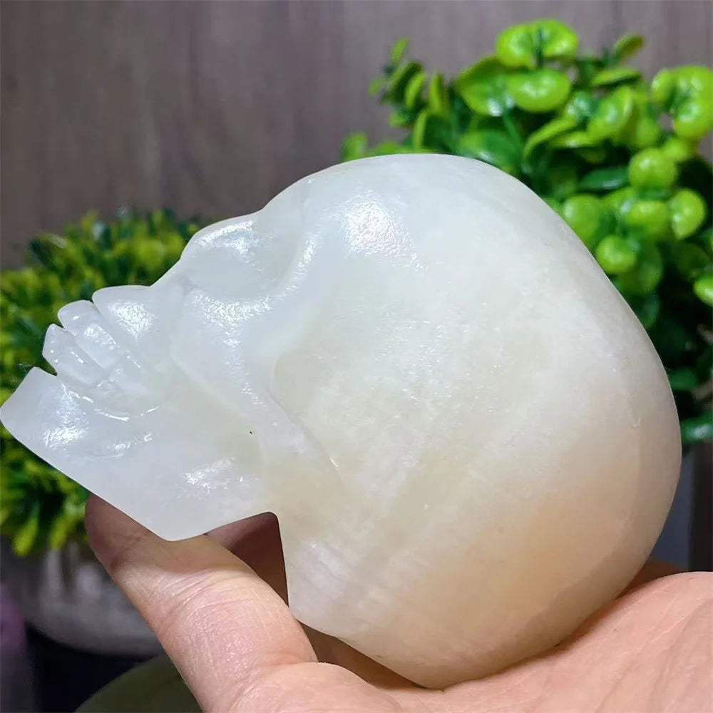 White Jade Skull-ToShay.org