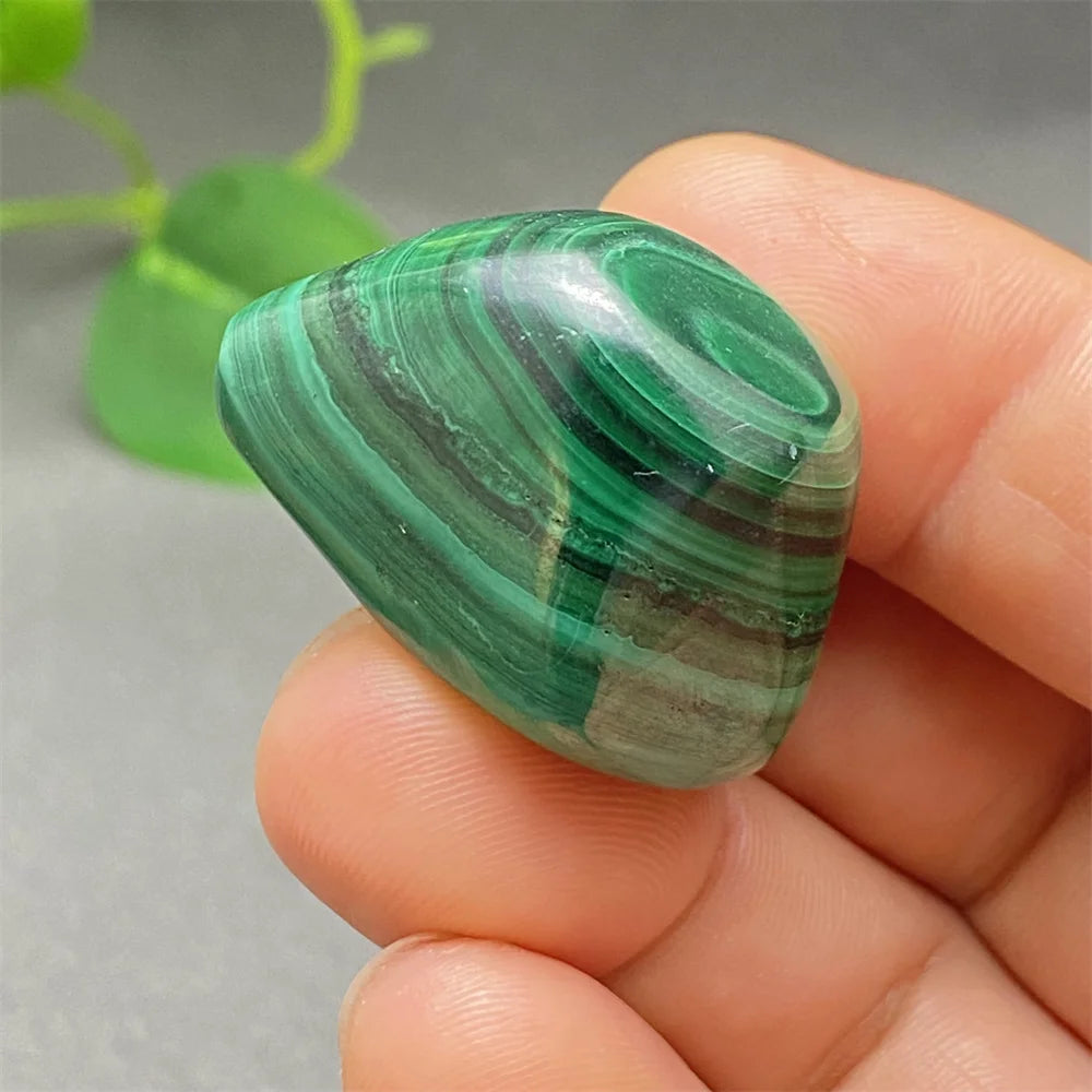 Green Malachite Tumbled Stone-ToShay.org