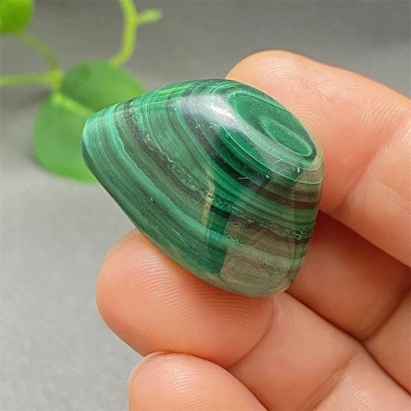 Green Malachite Tumbled Stone-ToShay.org