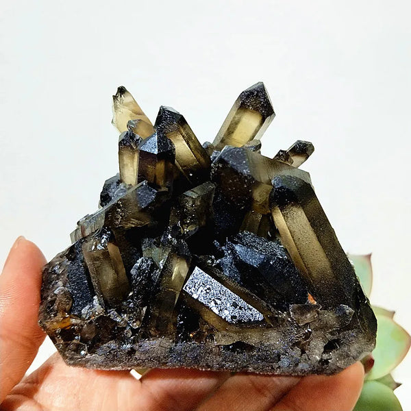Smoky Quartz Crystal Cluster-ToShay.org