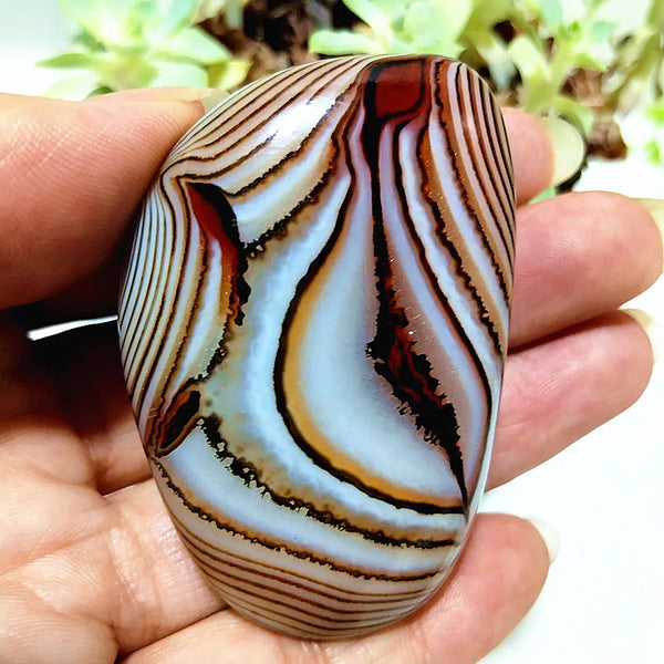 Red Lace Sardonyx Agate-ToShay.org