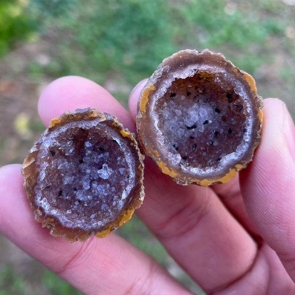 Mixed Agate Geode Egg-ToShay.org