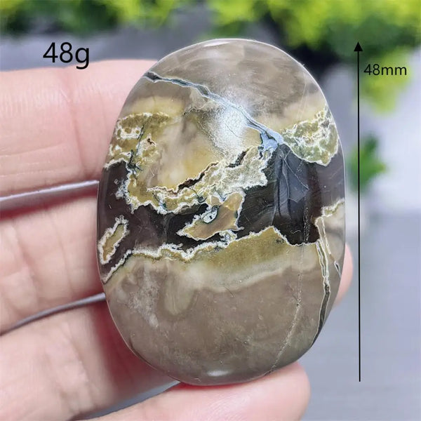 Fire Agate Palm Stone-ToShay.org