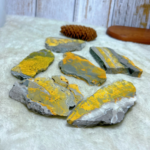 Yellow Bumblebee Slab-ToShay.org