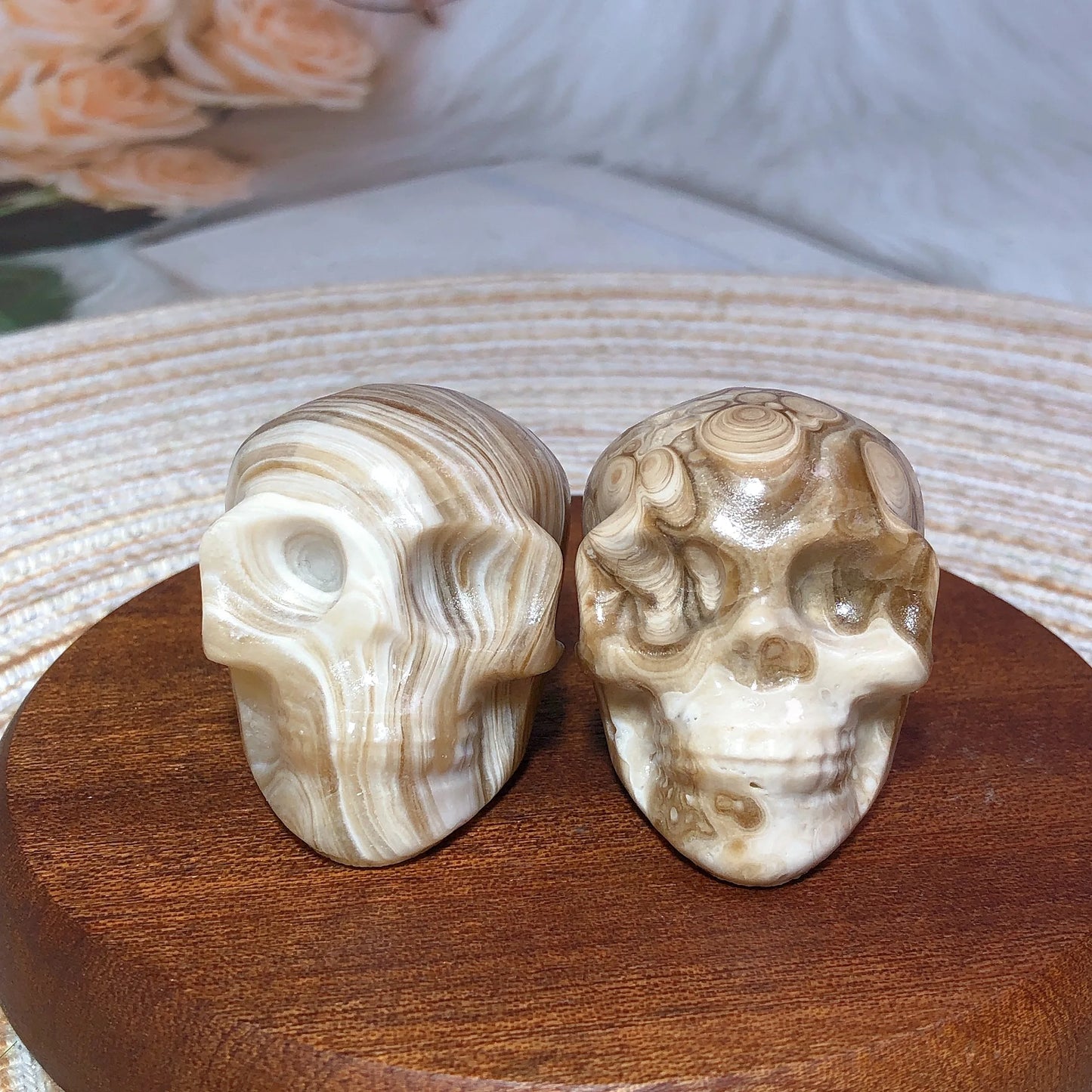 White Chocolate Calcite Skull-ToShay.org