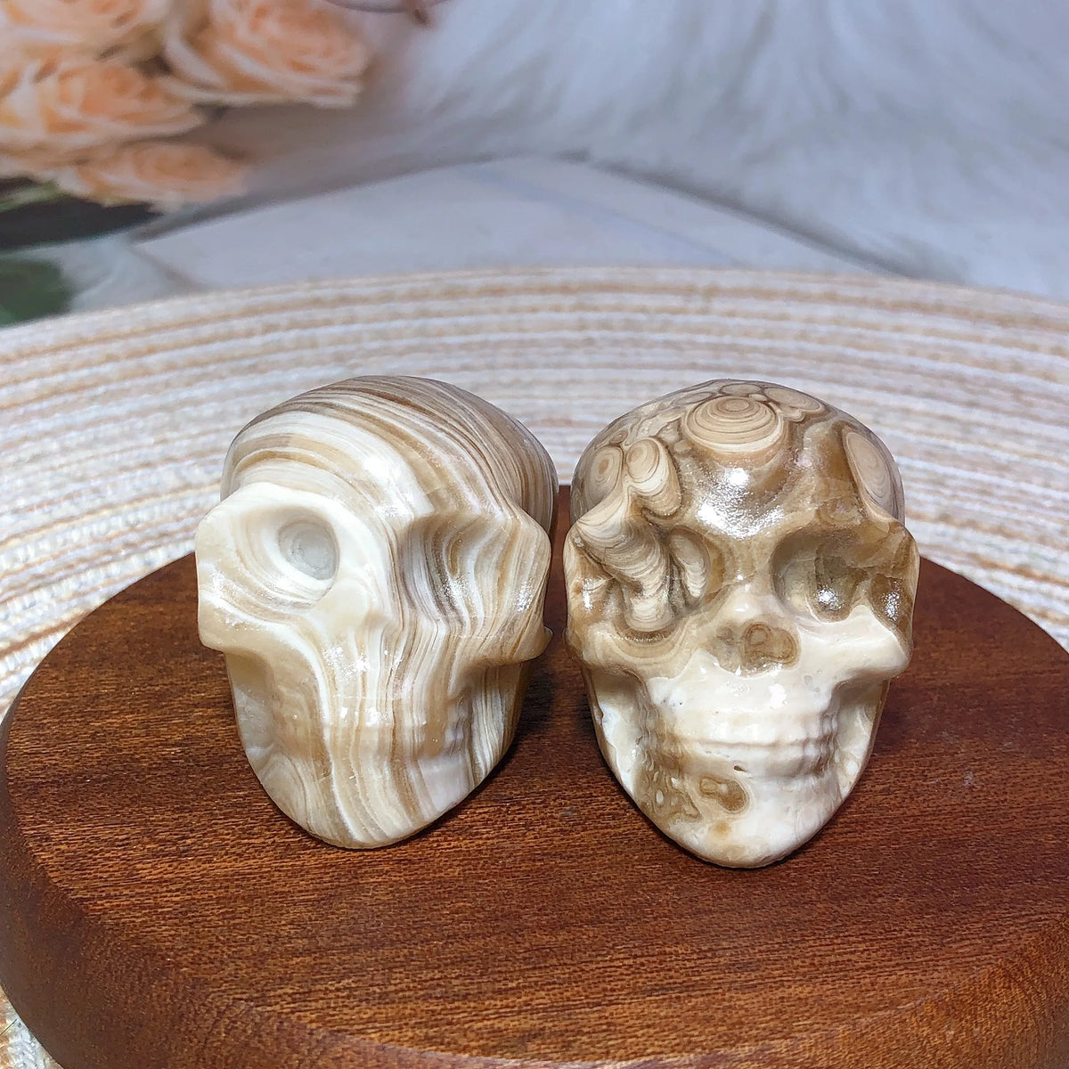 Brown Chocolate Calcite Skull-ToShay.org