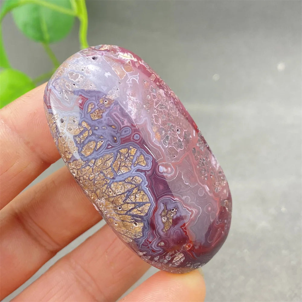 Red Lace Crazy Agate-ToShay.org