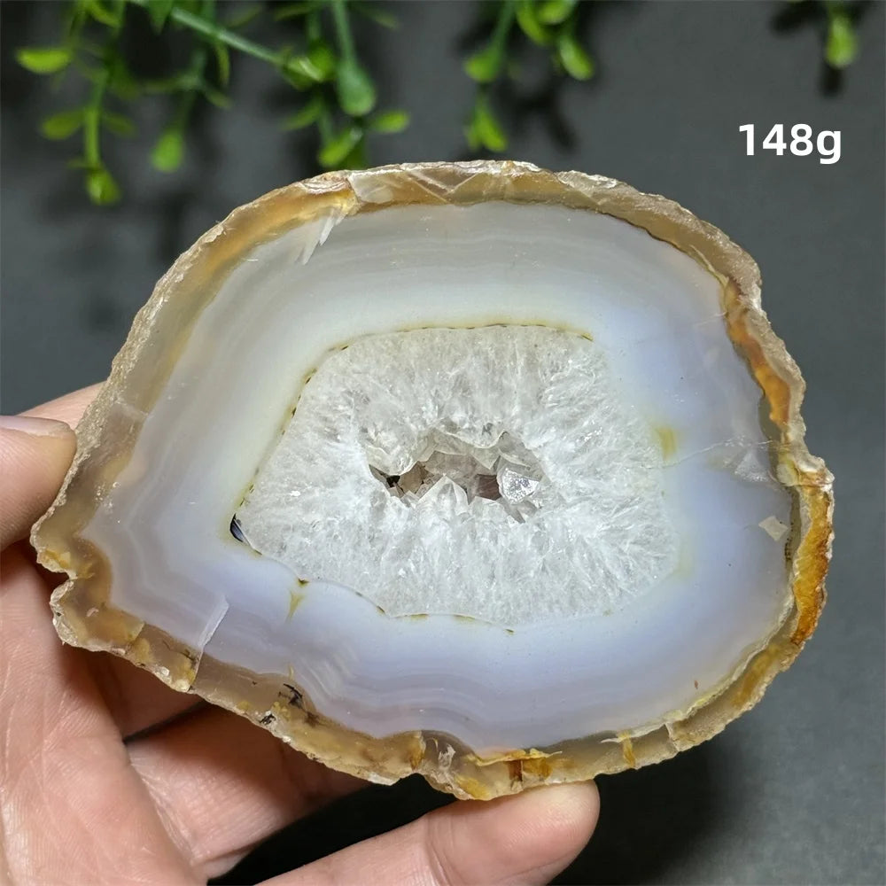 Yellow Agate Slice-ToShay.org