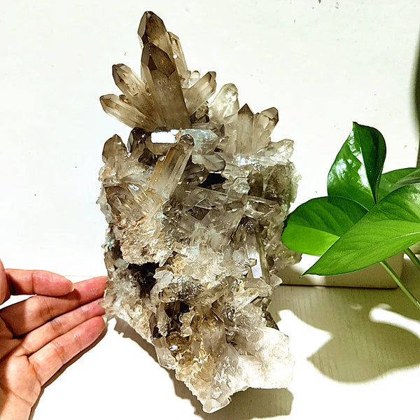 White Quartz Crystal-ToShay.org