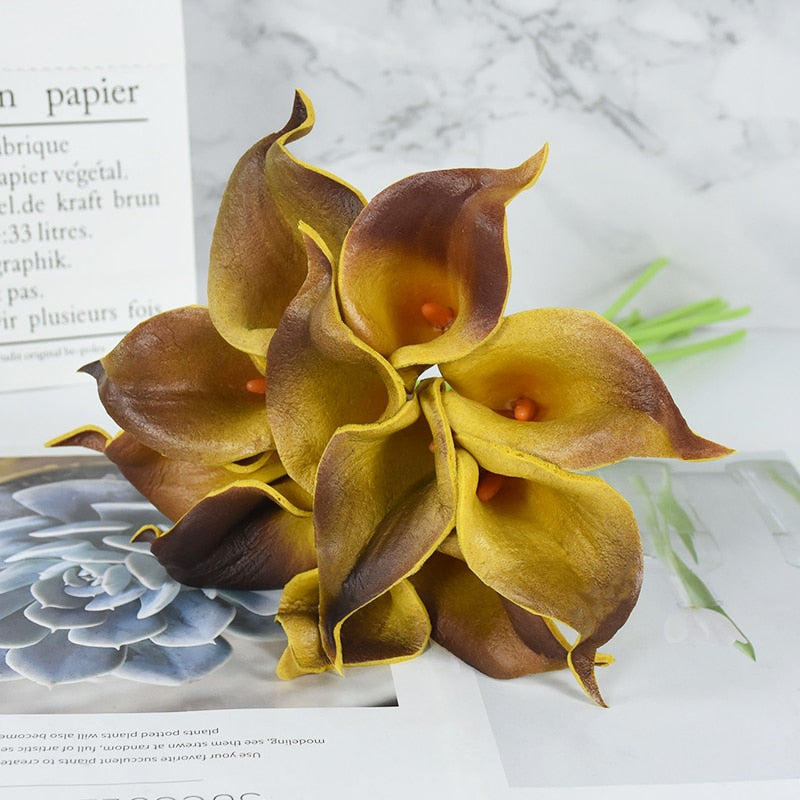 Calla Lily Stem Flower-ToShay.org