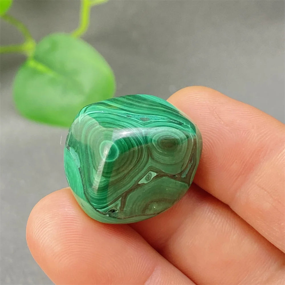 Green Malachite Tumbled Stone-ToShay.org