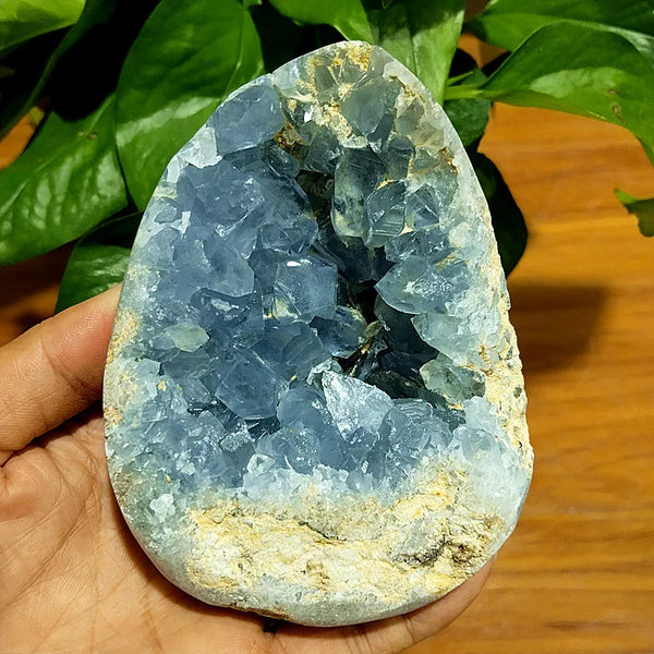 Blue Celestine Geode Crystal-ToShay.org
