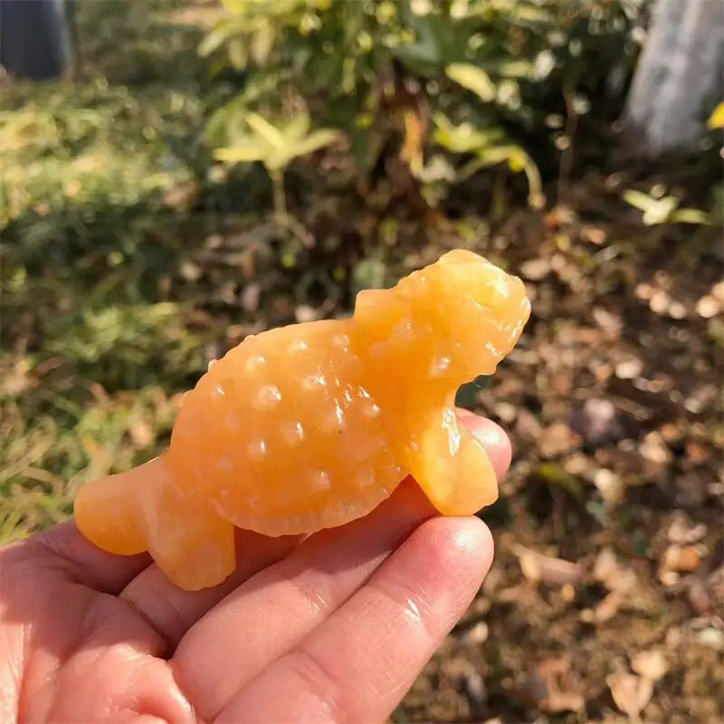 Mixed Crystal Lizards-ToShay.org