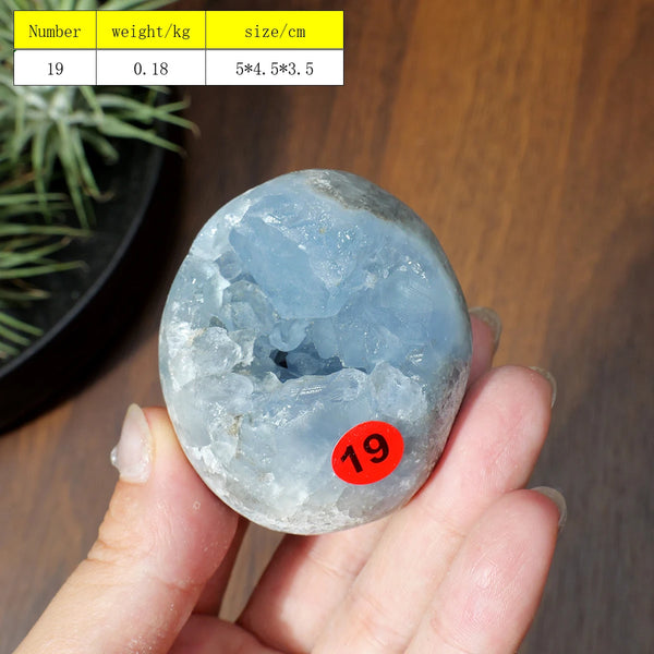 Blue Celestite Cluster Geode-ToShay.org