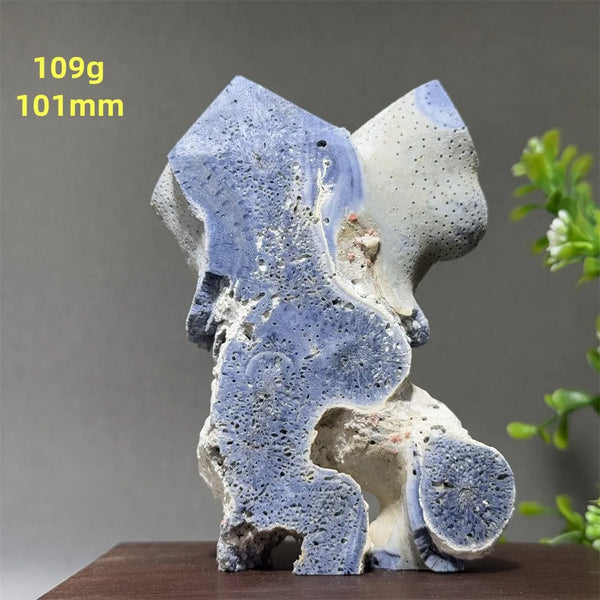Blue Coral Crystal-ToShay.org