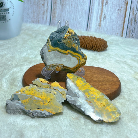 Yellow Bumblebee Slab-ToShay.org
