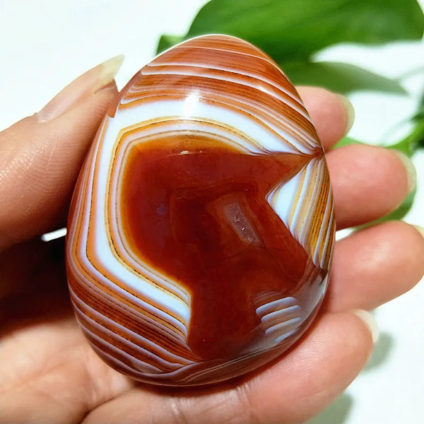 Red Lace Sardonyx Palm Stones-ToShay.org