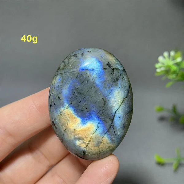 Blue Labrador Palm Stone-ToShay.org