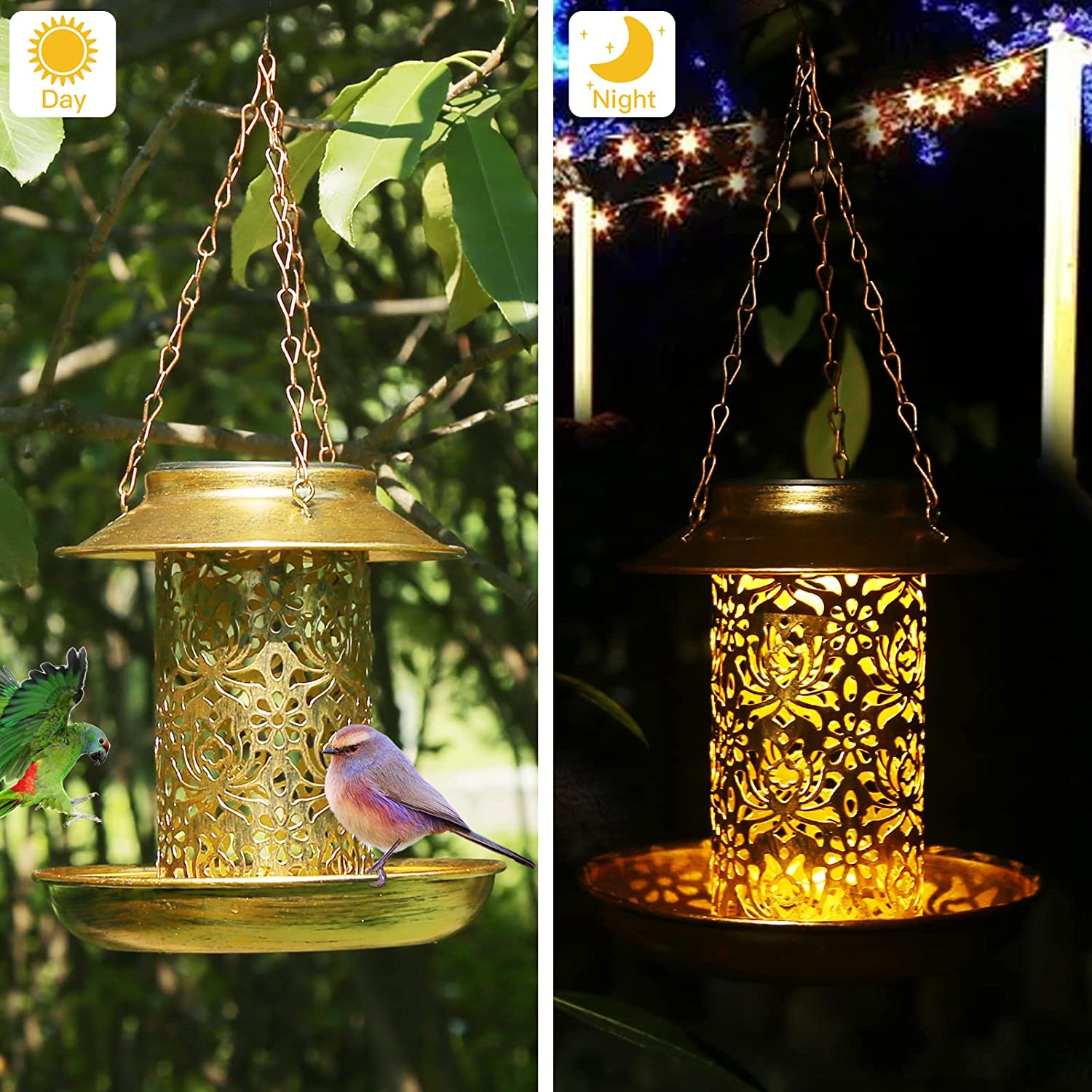 Bird Feeder Solar Light-ToShay.org