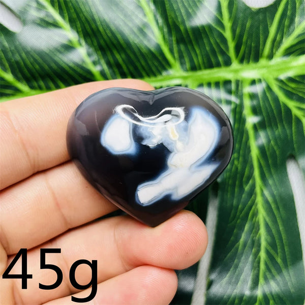 Black White Orca Agate-ToShay.org