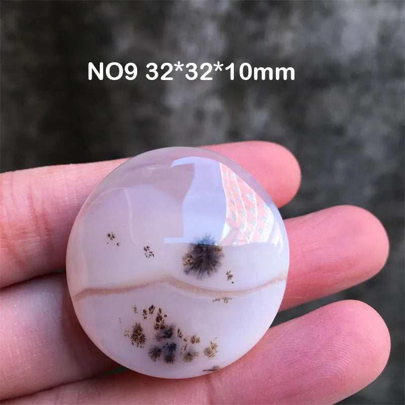 White Chalcedony Grass Agate-ToShay.org