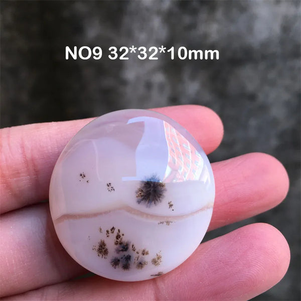 White Chalcedony Grass Agate-ToShay.org