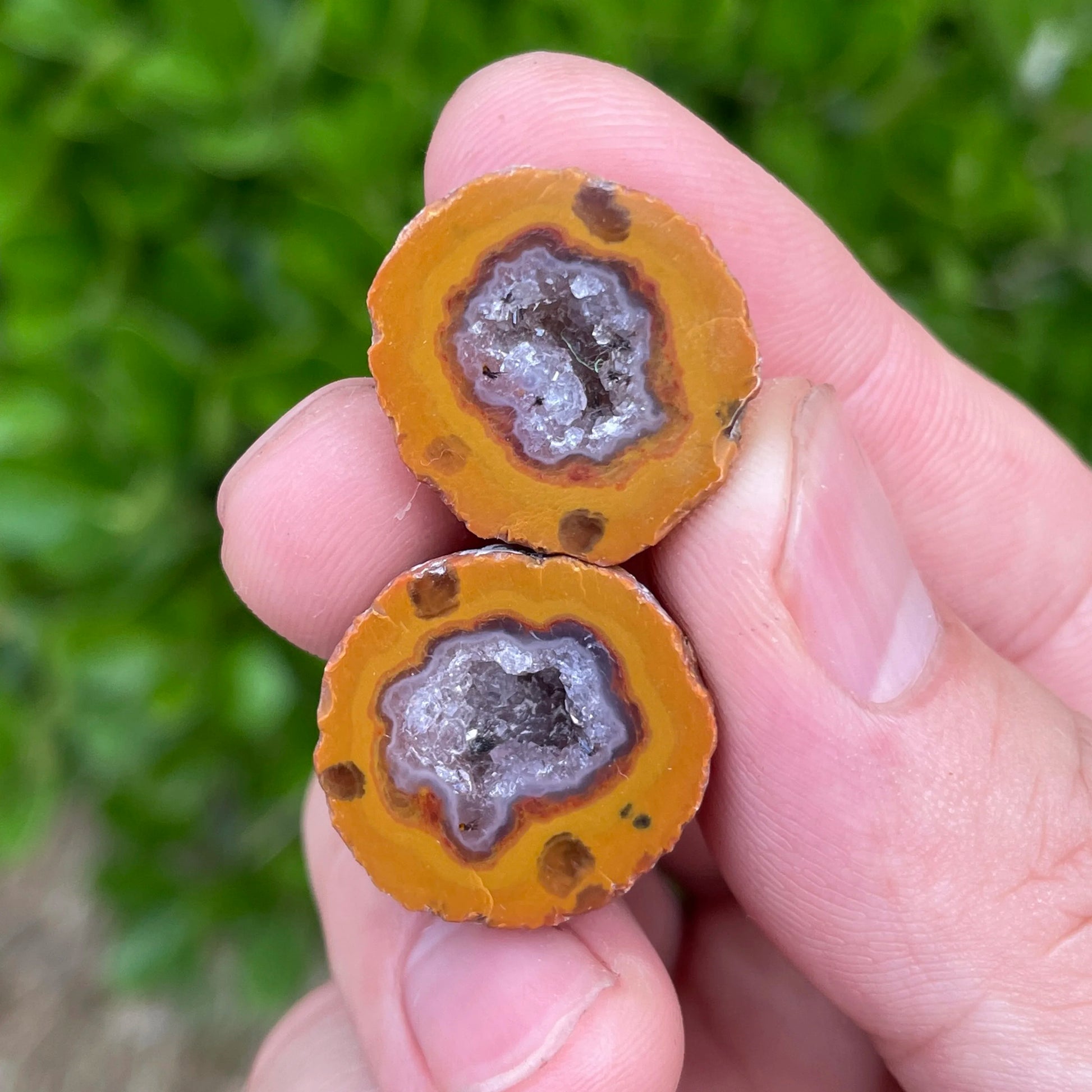Mixed Agate Geode Eggs-ToShay.org