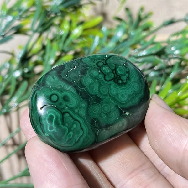Green Malachite Palm Stone-ToShay.org