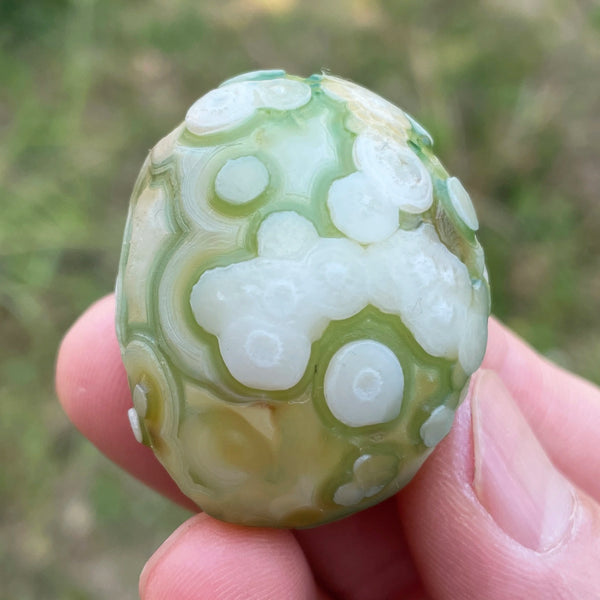 Black Agate Alxa Gobi Eye-ToShay.org