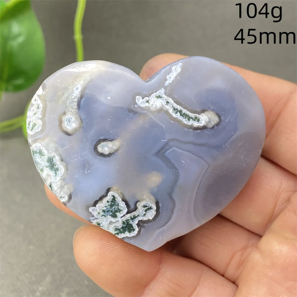 Green Aquatic Plant Agate-ToShay.org
