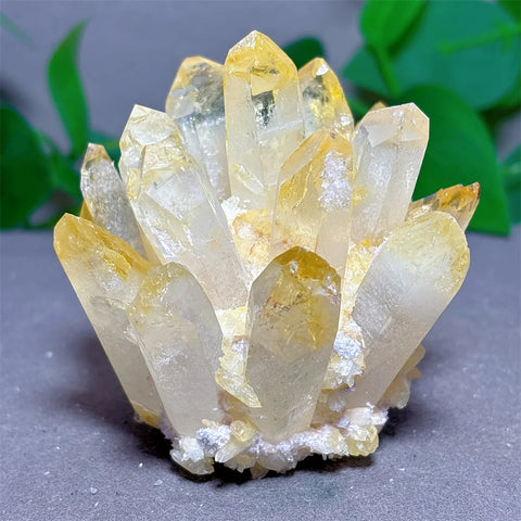 Yellow Citrine Crystal Cluster-ToShay.org