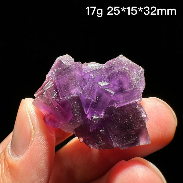 Purple Fluorite Crystal-ToShay.org