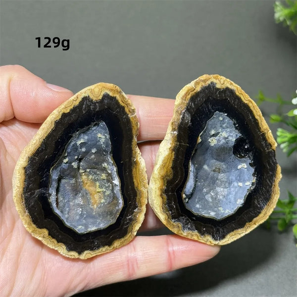 Mixed Agate Crystal Cave Egg-ToShay.org
