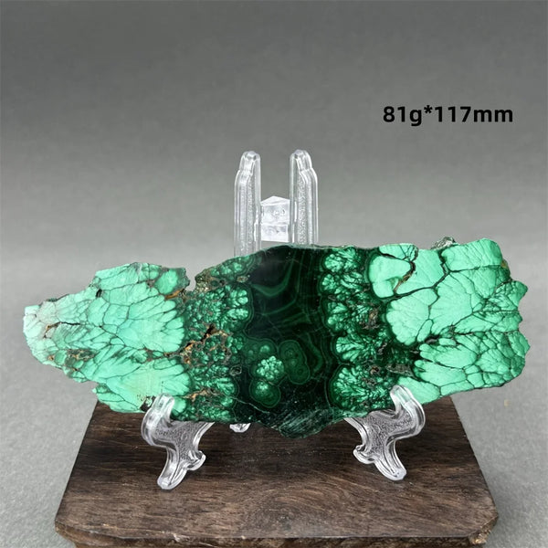 Green Malachite Raw Slice-ToShay.org