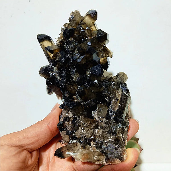 Smoky Quartz Crystal Cluster-ToShay.org