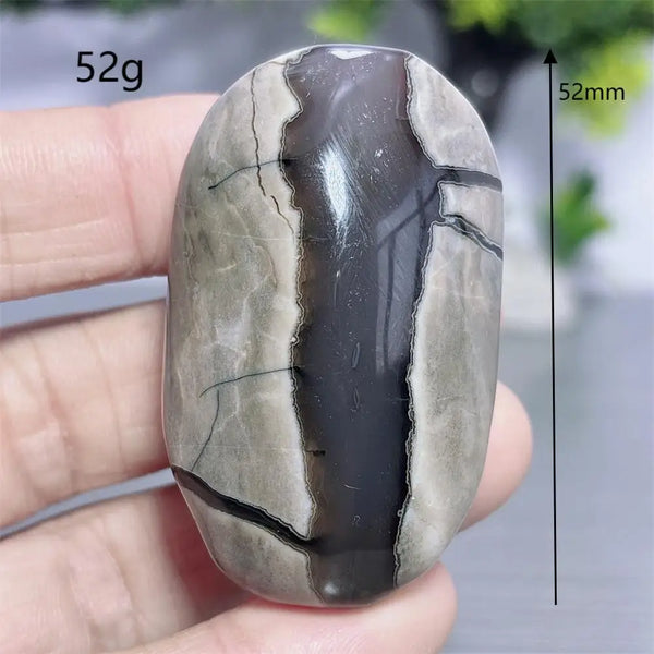 Fire Agate Palm Stone-ToShay.org