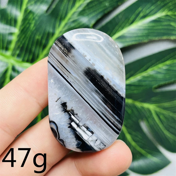 Black White Agate Palm Stone-ToShay.org
