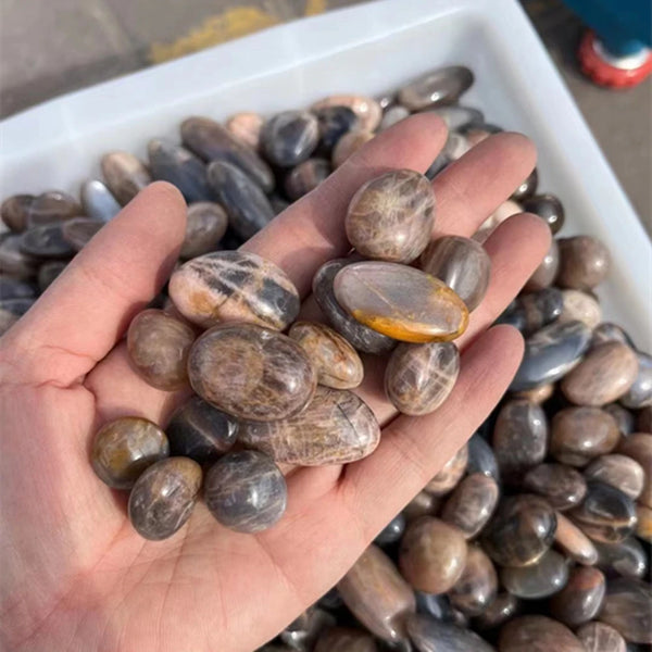 Black Moonstone Tumbled Stones-ToShay.org