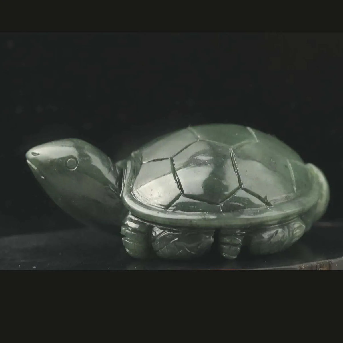 Green Jade Turtle-ToShay.org