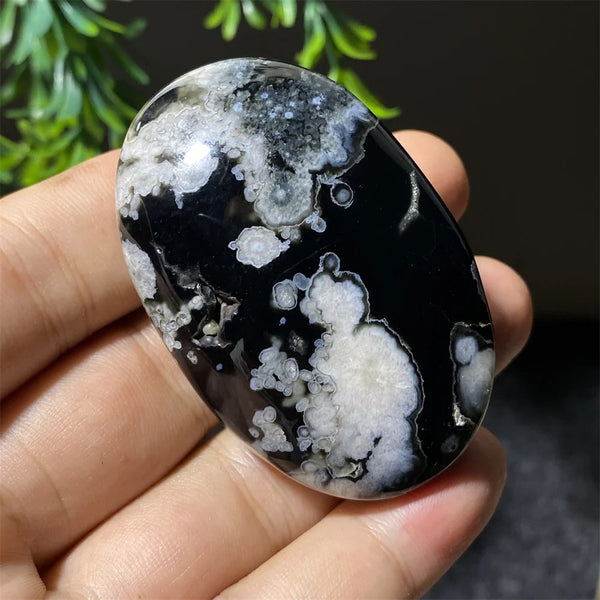 Black Flower Agate-ToShay.org