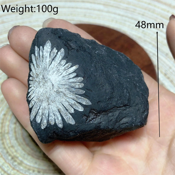 Black Chrysanthemum Raw Stone-ToShay.org