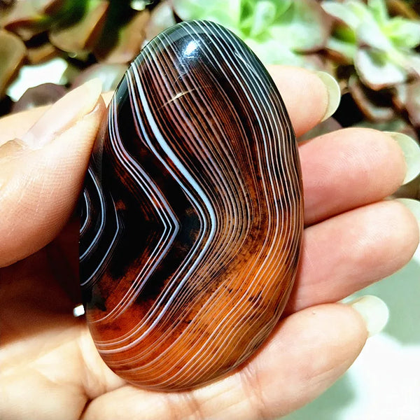 Red Lace Sardonyx Agate-ToShay.org