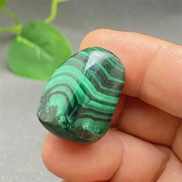 Green Malachite Tumbled Stone-ToShay.org