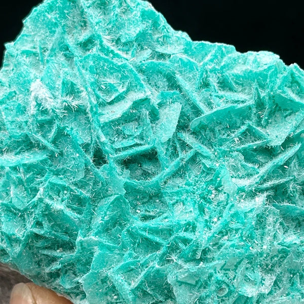 Green Antlerite Quartz Crystal-ToShay.org