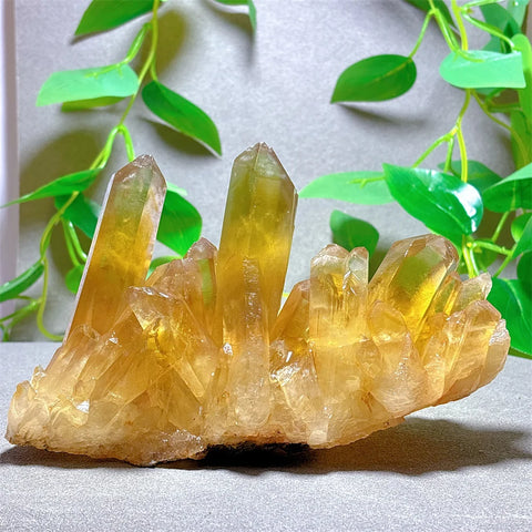 Yellow Citrine Crystal Cluster-ToShay.org