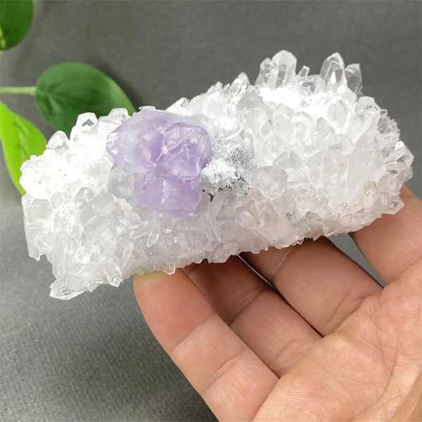 White Crystal Amethyst Quartz-ToShay.org