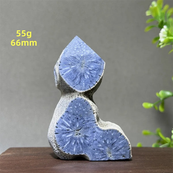 Blue Coral Crystal-ToShay.org