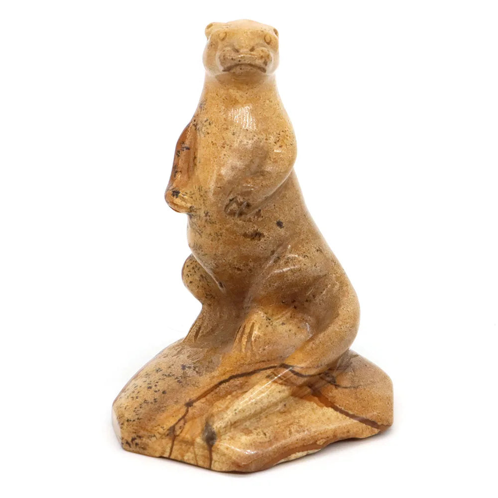 Yellow Picture Jasper Otter-ToShay.org