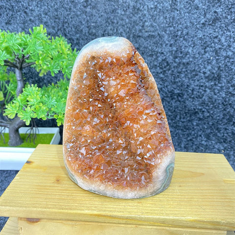 Orange Citrine Geode Cluster-ToShay.org