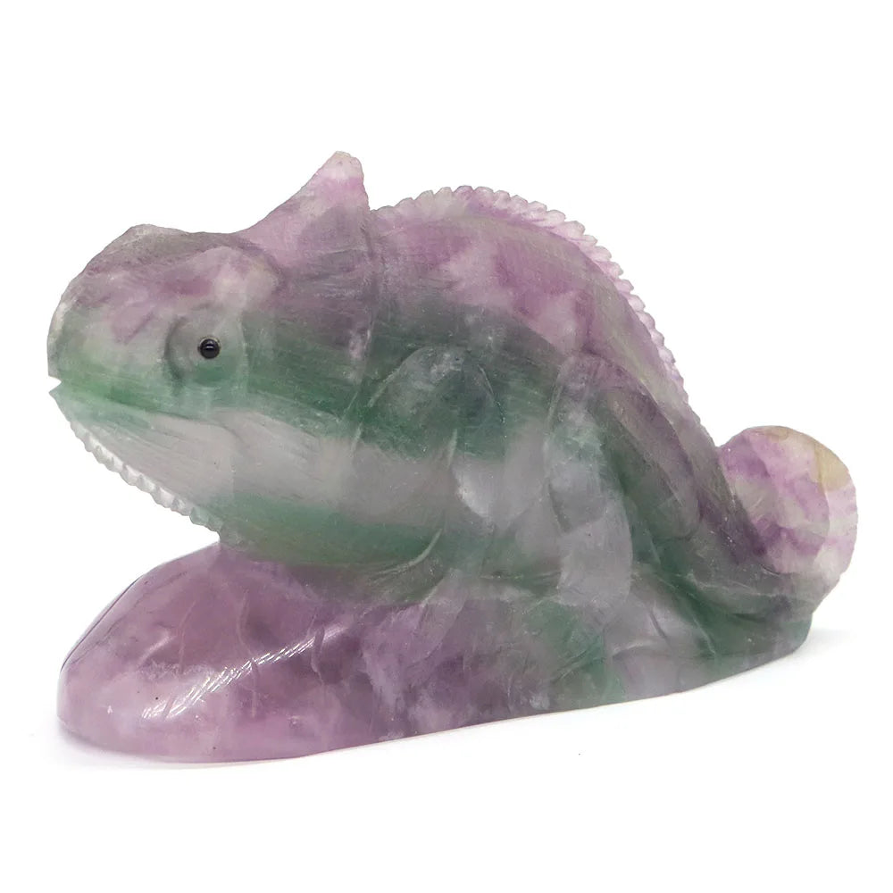 Rainbow Fluorite Lizard-ToShay.org
